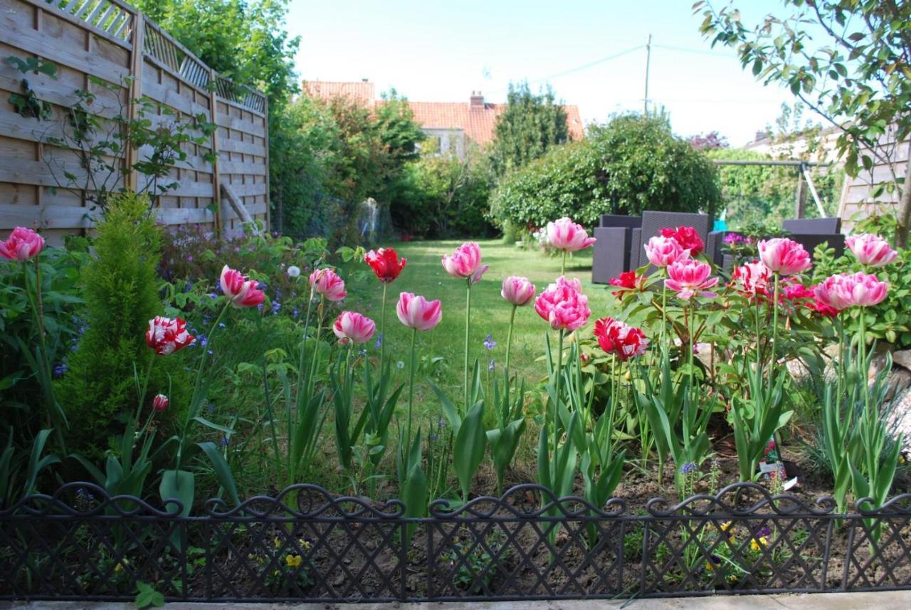 La Saint Martinoise Bed & Breakfast Екстериор снимка